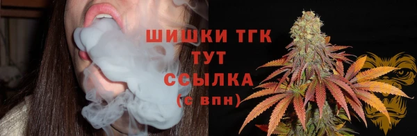 apvp Володарск
