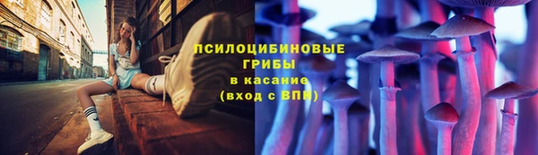 apvp Володарск